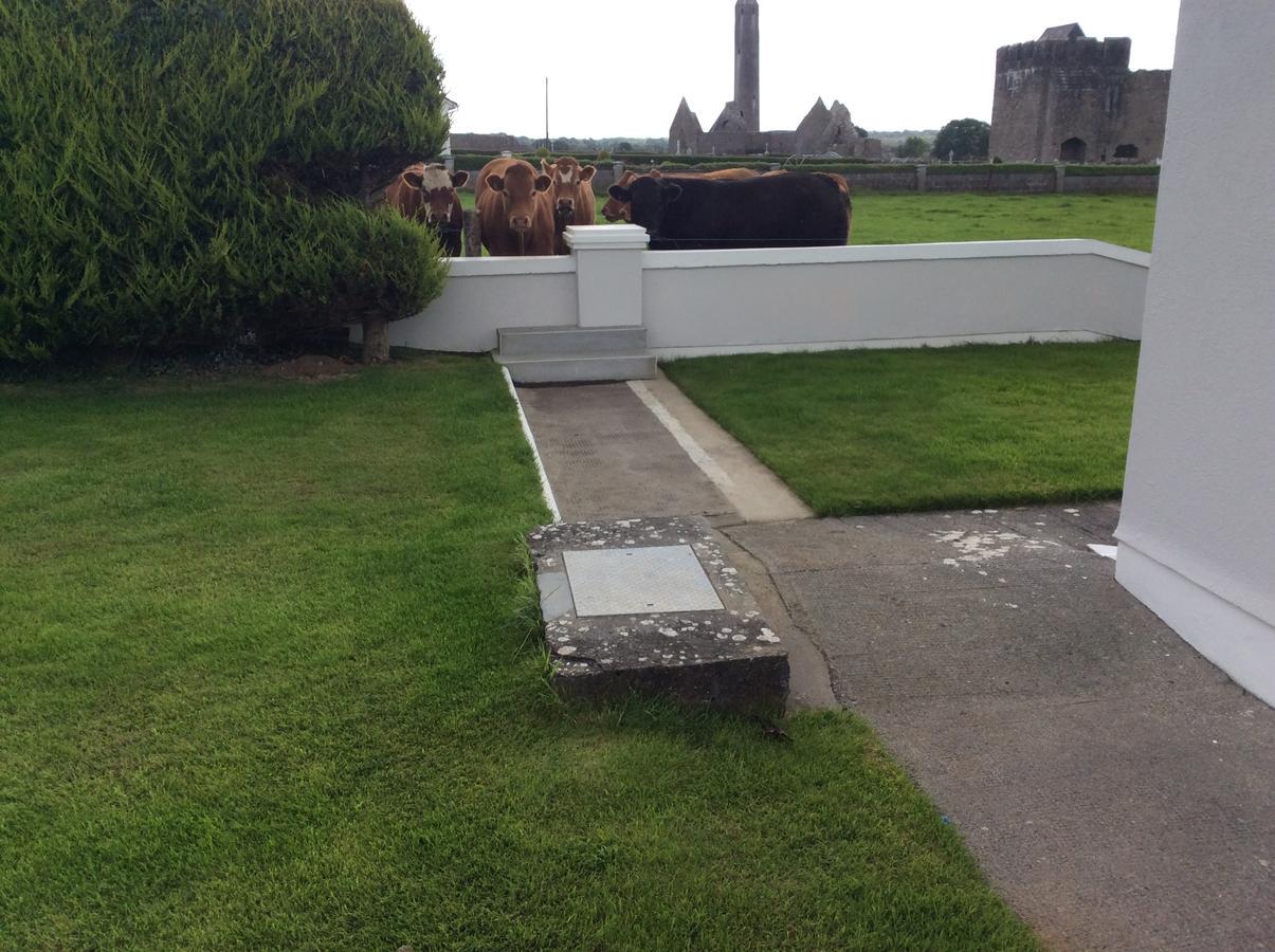 Naomh Colman B&B Gort Buitenkant foto